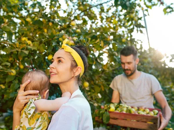 alimentation faible cadmium