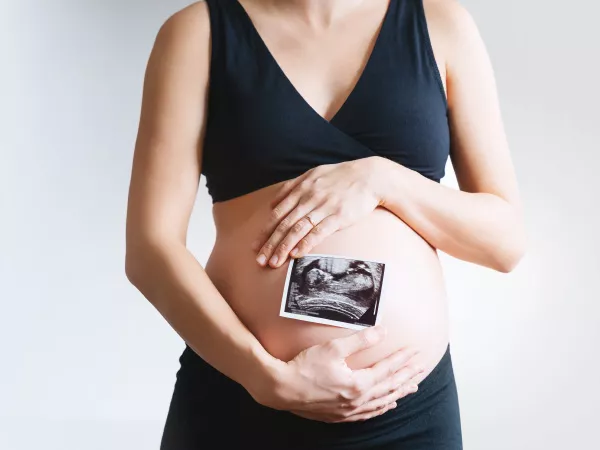 cadmium fertilité risques