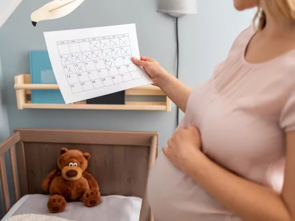 calendrier trois trimestres grossesse